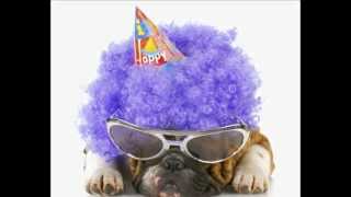 Happy Birthday Dogs Video [upl. by Wilona679]