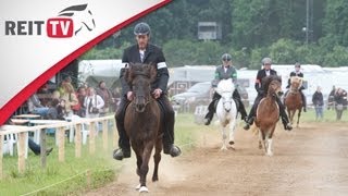 Gangpferdeprüfung  die Isländer zeigen ihr Können auf der EQUITANA Open Air 2012 [upl. by Oironoh362]