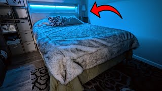 LED Lights on Your Bed Frame Jocisland Queen Bed Review [upl. by Pavyer]