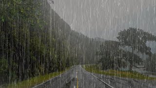 Lluvia Relajante Para Dormir en 6 Minutos  Ruido de Lluvia y Truenos en el Bosque Brumoso  ASMR [upl. by Fergus]