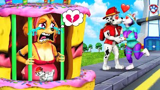 PAW Patrol The Movie 62 ►Skye Trapped in a Giant Birthday Cake as Marshall amp Everest Fall in Love [upl. by Sanson]