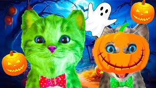 LITTLE KITTEN ADVENTURE 🎃 HALLOWEEN SPECIAL  SCARY KITTEN ADVENTURE [upl. by Ecirtnahc]