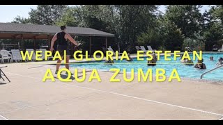 Wepa  Gloria Estefan  Aqua Zumba [upl. by Nnylram]