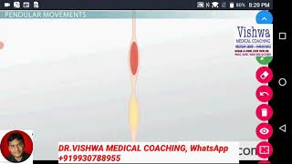 PENDULAR MOVEMENT SMALL INTESTINE animation by DRVISHWA MEDICAL COACHING [upl. by Oriane661]