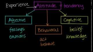 Components of Attitudes [upl. by Yruam]