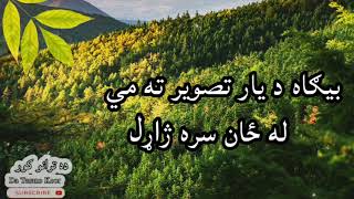 بیګاه د یار تصویر ته  پښتو ترانه  bega da yar tasver ta [upl. by Afirahs584]