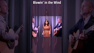 BLOWIN IN THE WIND  BOB DYLAN Cover shorts acousticscover music [upl. by Alimak]