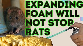 Rentokil Pest Control  this is NOT GOOD plus DOES EXPANDING FOAM STOP RATS [upl. by Christis]