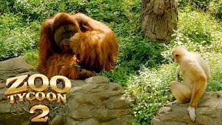 Zoo Tycoon 2 Gibbon amp Orangutan Exhibit Speed Build [upl. by Nylareg]