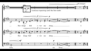 Owl Secrets SATB div from Zoo Nocturnes  Chronos Vocal Ensemble [upl. by Collete]