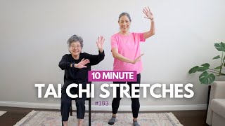 Do Tai Chi to Improve Balance Every Day  Gentle Stretches [upl. by Newfeld]