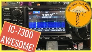 ICOM 7300 Setup Tweaks and How To Use  HRCC [upl. by Daph346]