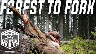 How to Butcher an Elk From Field to Table  Elk Week 2023 [upl. by Aiepoissac]