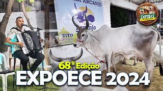 68° Edição da EXPOECE 2024  Melhores momentos 🐴🐍🐔🐄 [upl. by Erie]