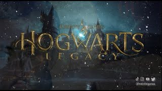 Hogwarts Legacy Part 14  Gobbledegook or Whatever It Is She Said [upl. by Lerrad]