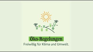 Erkläranimation ÖkoRegelungen [upl. by Derr934]