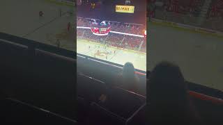 Calgary flames goal horn live [upl. by Marcile]