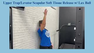 Upper TrapLevator Scapular Soft Tissue Release w Lax Ball [upl. by Olsewski]