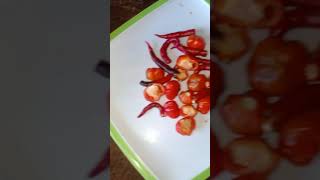 Chilli pickle Recipe🌶jolokia achar shorts youtubeshorts food short shortvideo pickle recipe [upl. by Suoiluj]