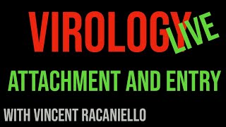 Virology Live 5 Attachment and Entry [upl. by Hafeetal]