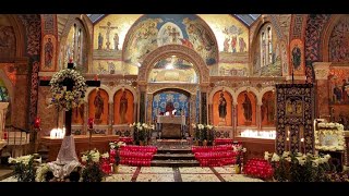 Orthros amp Divine Liturgy  Nov 8 2024  Synaxis of Archangel Michael amp the other Bodiless Powers [upl. by Reivax]