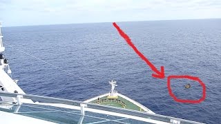 Mermaid Caught on Tape by Cruise Ship [upl. by Jeannette]