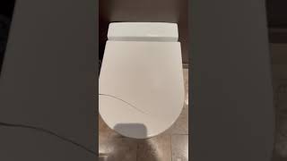 Catalano zero 54 toilet seat removal [upl. by Nica]