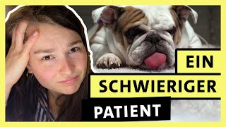 Tiermedizin studieren Hannas langer Weg zum Traumjob  alpha Uni [upl. by Crowns]