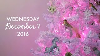 A Very Voolenvine Vlogmas Day 7  quotSecret Stashesquot [upl. by Horter]