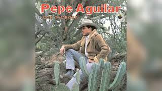 Pepe Aguilar  Corrido de los Pérez Visualizador Oficial [upl. by Adur]