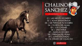 Adan Chalino Sanchez  Besame Morenita Video Oficial [upl. by Leonor]