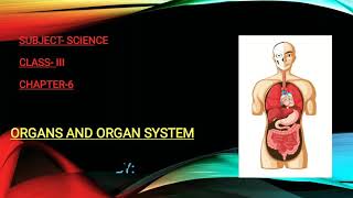 Organs and Organ system Ch6 of class 3 [upl. by Aikemat]