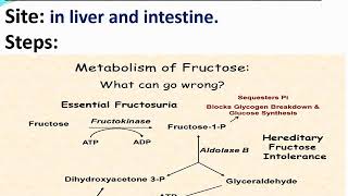 Inborn errors of carbohydrates metabolism [upl. by Aynatahs]