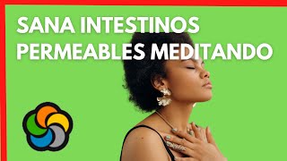 Meditación para los intestinos permeables [upl. by Enaira722]