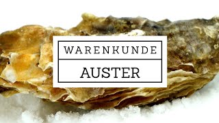 Warenkunde Auster  Auster öffnen [upl. by Colston]