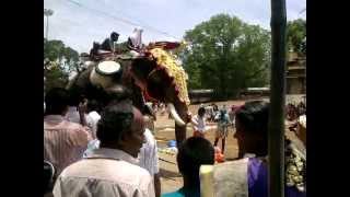 Thrissur pooram 2012 elephant attackmp4 [upl. by Resee]