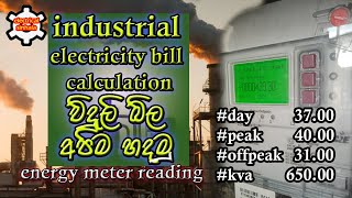 CEB meter reading  විදුලි බිල අපිම හදමු  electrical sinhala [upl. by Vijar875]