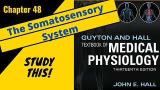 Guyton and Hall Medical Physiology Chapter 48REVIEW Somatosensory System  Study This [upl. by Liederman]