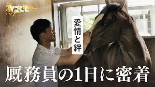 JRA70周年特番【YELL～馬とカケルミライ～】②栗東トレセンの厩務員の1日に密着！ [upl. by Calv597]