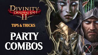 Divinity Original Sin 2 Party Combinations Guide Magic Physical And Mixed [upl. by Aerdnaxela]