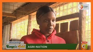 Kenyas Gold  Why Sanaipei Tande ventured into chicken farming [upl. by Eisus131]