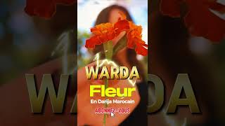 Comment dire Fleur en Arabe Marocain  Apprends Warda en Darija 🇲🇦 apprendredarija learndarija [upl. by Romelda409]