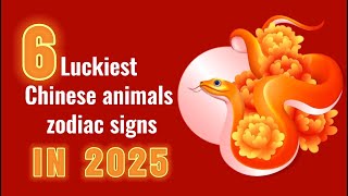 Are you among the 6 luckiest chinese zodiac signs in 2025 🎎 [upl. by Airt]