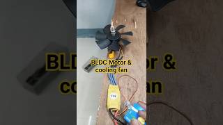 fan  cooling cooler bldcmotor dc dcmotor battery [upl. by Harden32]