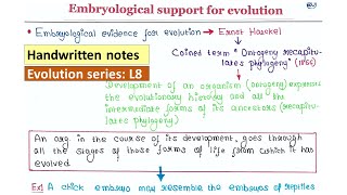 Ontogeny Recapitulates Phylogeny  Embryological support for evolution  Handwritten notes [upl. by Nelleus]