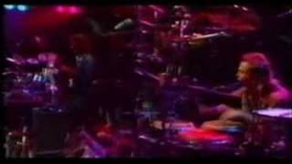 The Rippingtons  Indian Summer Live [upl. by Enoek]