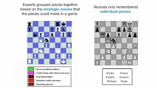 NGSS Understanding Crosscutting Concepts The Chess Metaphor  California Academy of Sciences [upl. by Drauode]