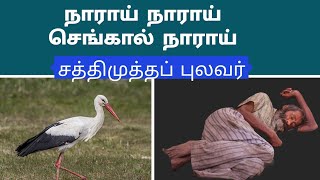 நாராய் நாராய்  சத்திமுத்தப்புலவர் தனிப்பாடல்narai narai sengal narai sathi mutha pulavar lyrics [upl. by Yraeht]