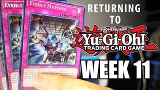 Returning to YuGiOh This Card Wins Games  Regionals A YuGiOh Challenge Episode 11 [upl. by Rutherfurd]