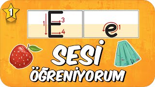 E Sesi Öğretimi 🍎 Okunuşu ve Yazılışı 🏠 1Sınıf 2024 [upl. by Hogue]